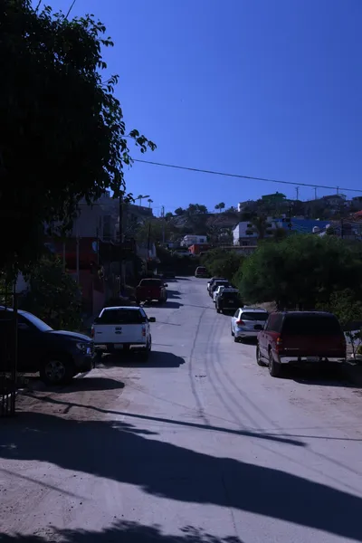 DSC_1881 (Large).JPG